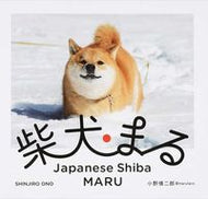 #小野慎二郎 #柴犬まる