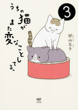 画像をギャラリービューアに読み込む, ＃卵山 玉子 ＃うちの猫がまた変なことしてる。　　　３ ﾀﾏｺﾞﾔﾏﾀﾏｺ :9784040693828
