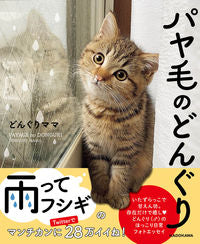 ＃どんぐりママ　著 ＃パヤ毛のどんぐり ﾄﾞﾝｸﾞﾘﾏﾏ :9784046813503
