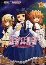 画像をギャラリービューアに読み込む, ＺＵＮ原 / 東方三月精３ＣＤ付Ｓｔｒａｎｇ
