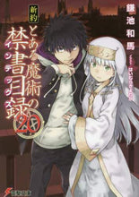 Load image into Gallery viewer, Kamachi Kazuma / A Certain Magical Index: New Testament 20
