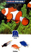 画像をギャラリービューアに読み込む, ＃魚 :9784052032110
