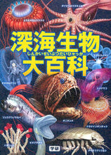 画像をギャラリービューアに読み込む, ＃長沼　毅　他監修 ＃深海生物大百科 ﾅｶﾞﾇﾏﾀｹｼ :9784052039836
