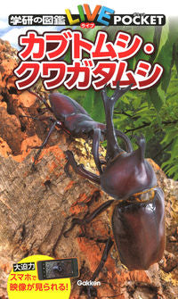 #GakkenPlus #BeetlesAndStagBeetles