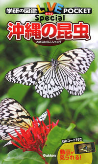 #学研プラス #沖縄の昆虫
