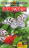#学研プラス #沖縄の昆虫