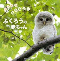 Load image into Gallery viewer, #SupervisedbyOhashiHirokazu #FluffyFluffyBabyOwls
