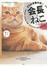画像をギャラリービューアに読み込む, さらば青春の光 / さらば青春の光の会長はねこである
