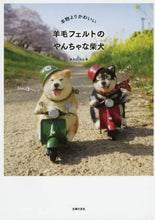 画像をギャラリービューアに読み込む, ｋｏ－ｋｏ / 羊毛フェルトのやんちゃな柴犬
