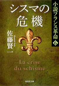 #Kenichi Sato #Crisis in the System: A Novel of the French Revolution 6