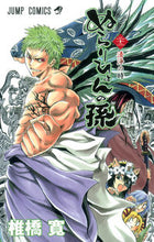画像をギャラリービューアに読み込む, ＃椎橋 寛 ＃ぬらりひょんの孫　　２２ ｼｲﾊﾞｼﾋﾛｼ | Hiroshi Shiibashi :9784088704647
