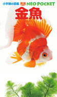 #松沢陽士 #金魚 :9784092172944