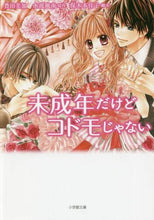 画像をギャラリービューアに読み込む, 豊田美加 / 未成年だけどコドモじゃない
