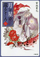画像をギャラリービューアに読み込む, 宮池貴巳 / 月と星の還るところ紫微国妖夜話
