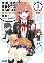 画像をギャラリービューアに読み込む, #渡航 #やはり俺の青春ラブコメはまちがっ結１
