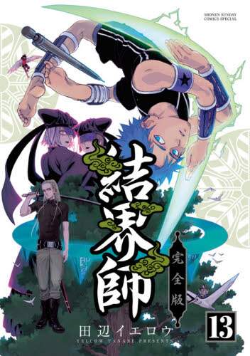田辺イエロウ / 完全版結界師１３