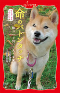 #今西乃子 #命のバトンタッチ捨て犬・未来ものがたり