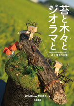 Load image into Gallery viewer, #NaotoArakawa #MossAndTreesAndDioramas #WildRiver

