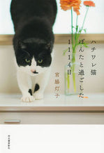 画像をギャラリービューアに読み込む, ＃ハチワレ猫ぽんたと過ごした１１１４日 :9784309030173
