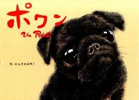 Load image into Gallery viewer, ＃かなざわ　まゆこ　作 ＃ポワン ｶﾅｻﾞﾜﾏﾕｺ :9784309920559
