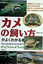 画像をギャラリービューアに読み込む, ＃霍野　晋吉　監修 ＃カメの飼い方がよくわかる本　ミドリガメか ﾂﾙﾉｼﾝｷﾁ :9784415023854
