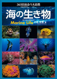 ＃小林　安雅　著 ＃３６５日出会う大自然　海の生き物 ｺﾊﾞﾔｼﾔｽﾏｻ :9784416212608