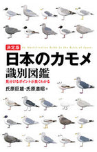 画像をギャラリービューアに読み込む, ＃氏原　巨雄　著 ＃決定版　日本のカモメ識別図鑑 ｳｼﾞﾊﾗｵｻｵ :9784416518526
