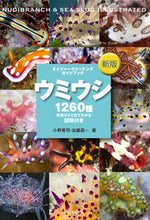 画像をギャラリービューアに読み込む, ＃小野　篤司　著 ＃ウミウシ　新版 ｵﾉｱﾂｼ :9784416519318
