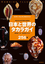 画像をギャラリービューアに読み込む, ＃黒住　耐二　解説 ＃日本と世界のタカラガイ ｸﾛｽﾞﾐﾀｲｼﾞ :9784416521038
