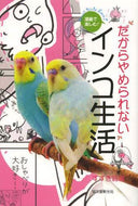 すずき莉萌 / だからやめられないインコ生活
