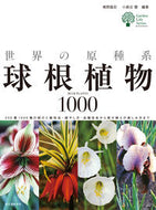 #椎野昌宏 #世界の原種系球根植物１０００