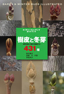 #鈴木庸夫 #樹皮と冬芽