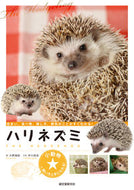 #大野瑞絵 #ハリネズミ住まい、食べ物、接し方、病気 :9784416615102