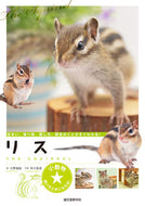 #大野瑞絵 #リス住まい、食べ物、接し方、病気のこと