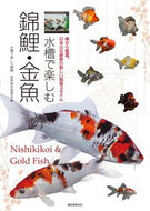 #水槽で楽しむ錦鯉・金 #水槽で楽しむ錦鯉・金魚