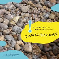 画像をギャラリービューアに読み込む, ＃林　良博　監修 ＃こんなところにいたの？ ﾊﾔｼﾖｼﾋﾛ :9784416616697
