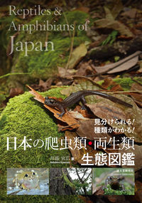 ＃川添　宣広　著 ＃日本の爬虫類・両生類生態図鑑 ｶﾜｿﾞｴﾉﾌﾞﾋﾛ :9784416618660
