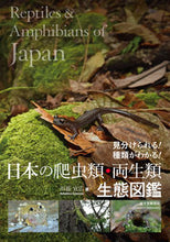 画像をギャラリービューアに読み込む, ＃川添　宣広　著 ＃日本の爬虫類・両生類生態図鑑 ｶﾜｿﾞｴﾉﾌﾞﾋﾛ :9784416618660
