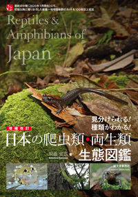＃川添　宣広　著 ＃日本の爬虫類・両生類生態図鑑　増補改訂 ｶﾜｿﾞｴﾉﾌﾞﾋﾛ :9784416620106