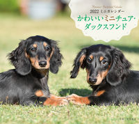画像をギャラリービューアに読み込む, ＃井川　俊彦　写真 ＃カレンダー　’２２　かわいいミニチュア・ ｲｶﾞﾜﾄｼﾋｺ :9784416921302
