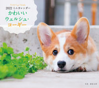 画像をギャラリービューアに読み込む, ＃蜂巣　文香　写真 ＃カレンダー　’２２　かわいいウェルシュ・ ﾊﾁｽｱﾔｺ :9784416921319
