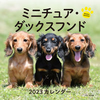 画像をギャラリービューアに読み込む, ＃カレンダー　’２３　ミニチュア・ダックス :9784416922316

