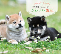 画像をギャラリービューアに読み込む, ＃ミニカレンダー　’２３　かわいい柴犬 :9784416922521
