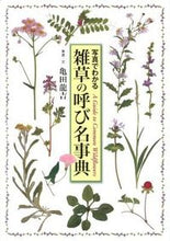 画像をギャラリービューアに読み込む, ＃亀田　龍吉　写真・文 ＃雑草の呼び名事典 ｶﾒﾀﾞﾘﾕｳｷﾁ :9784418124008
