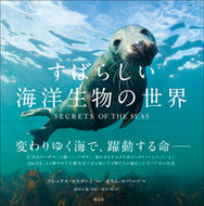 #Ａ．マスタード写真 #すばらしい海洋生物の世界