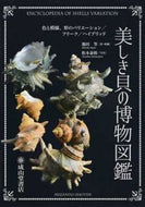 #池田等・所蔵 #美しき貝の博物図鑑色と模様、形のバリエ