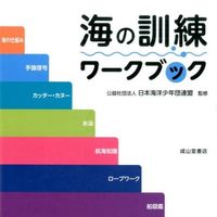 Load image into Gallery viewer, ＃日本海洋少年団連盟 ＃海の訓練ワークブック　海の仕組み／手旗信 ﾆﾎﾝｶｲﾖｳｼﾖｳﾈﾝﾀﾞﾝ :9784425955411
