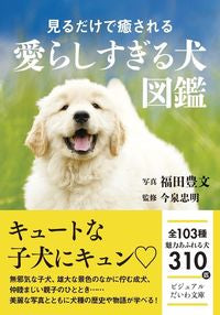 ＃福田 豊文 写真 ＃見るだけで癒される愛らしすぎる犬図鑑 ﾌｸﾀﾞﾄﾖﾌﾐ :9784479308836