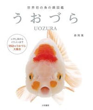 画像をギャラリービューアに読み込む, ＃森岡　篤　著 ＃世界初の魚の顔図鑑　うおづら ﾓﾘｵｶｱﾂｼ :9784479393474
