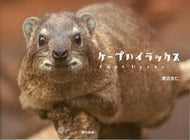 #渡辺克仁 #ケープハイラックス
